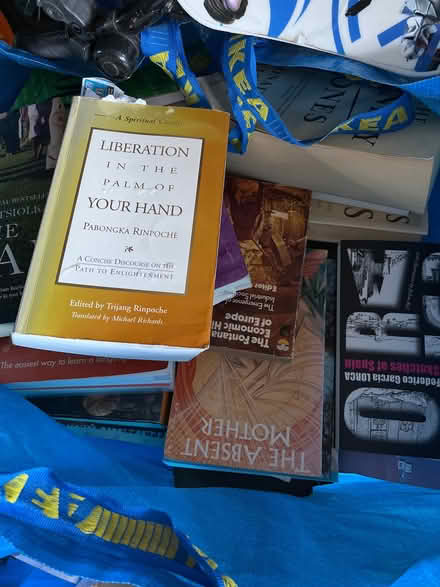Photo of free Masses of books (Bloomfield) #3