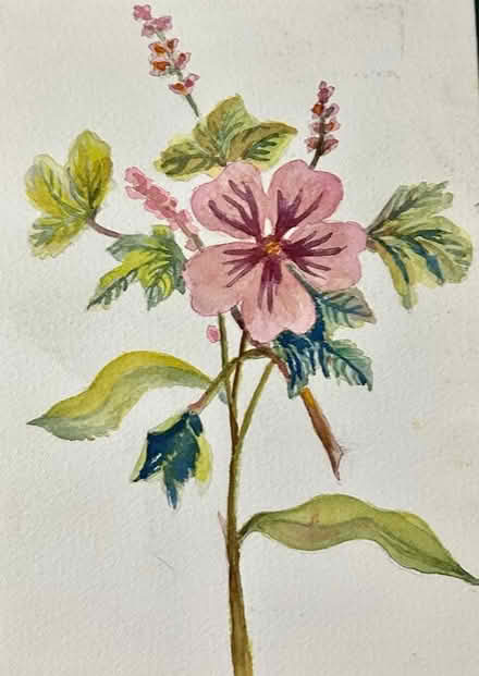 Photo of free Watercolour Flower Painting (Harold Wood RM3) #1