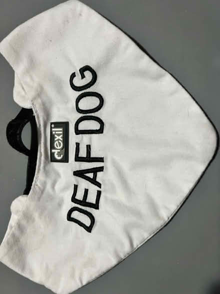 Photo of free Deaf dog bandana (Sandyford ST6) #1