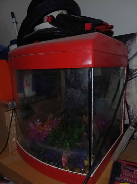 Photo of free Fish tank (BD3 Otley Road Bradford) #2
