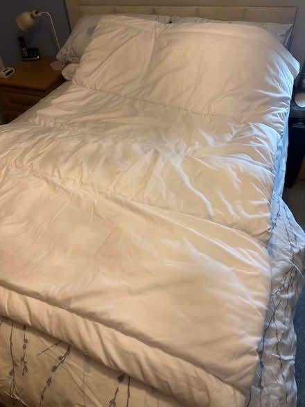 Photo of free Single duvet/quilt 13.5 tog fogarty (Crockford Bridge Farm KT15) #3