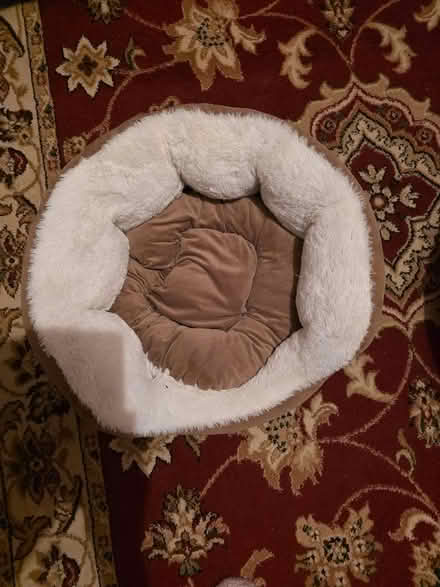 Photo of free 2 dog beds (Beckenham BR3) #2