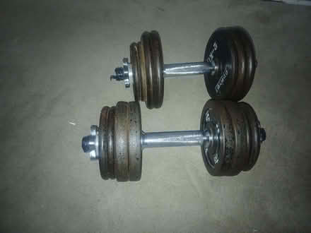 Photo of free Dumbell weights 2x 12 kg (Monks Orchard BR3) #1