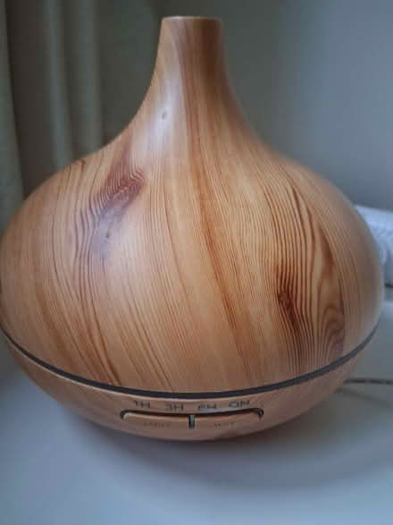 Photo of free Oil diffuser (Titchfield Common PO14) #1