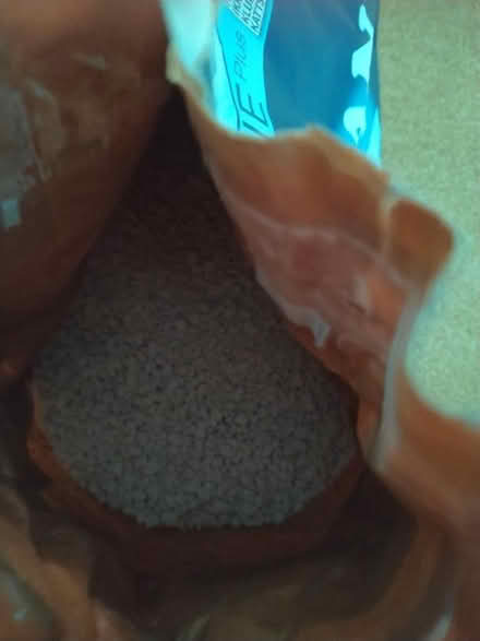 Photo of free 3kg CATSAN Hygiene Cat Litter (Sidcup DA14) #4