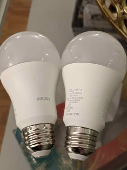 Photo of free 2 LED Daylight Philips Bulbs (McKellar Park/Westboro) #1
