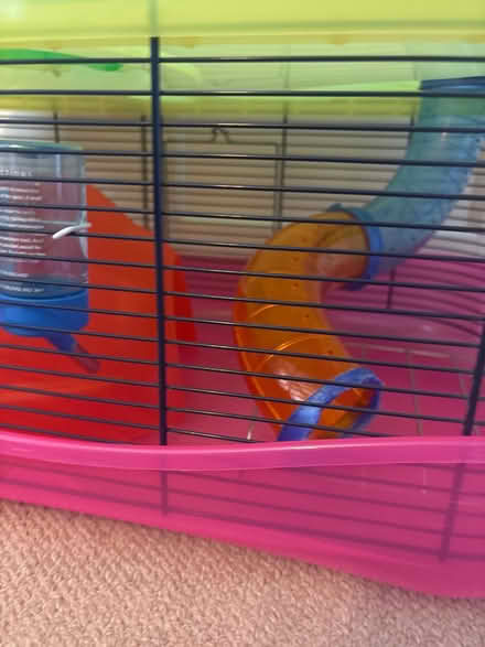 Photo of free Hamster or gerbil cage (WGC) #2