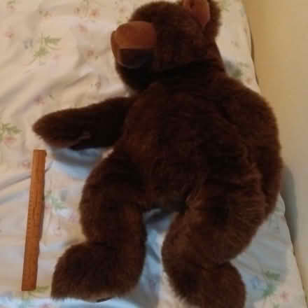Photo of free Giant brown bear soft toy (Crawley RH10) #2