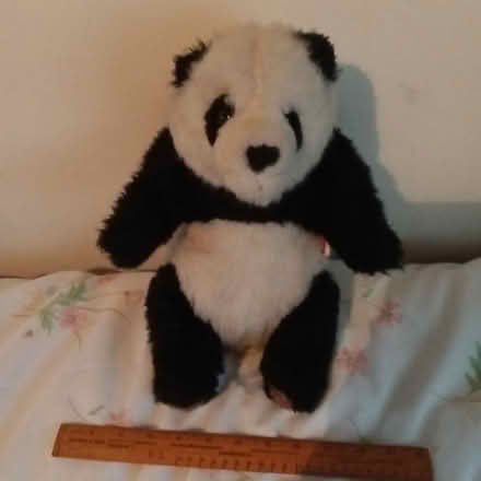 Photo of free Panda squashy teddy (Crawley RH10) #1