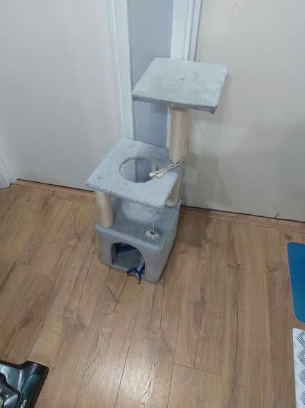 Photo of free Cat toy (Walthamstow) #1