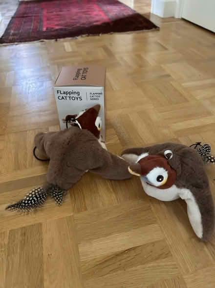 Photo of free Cat toys x2 (Gaurlford WR14) #1