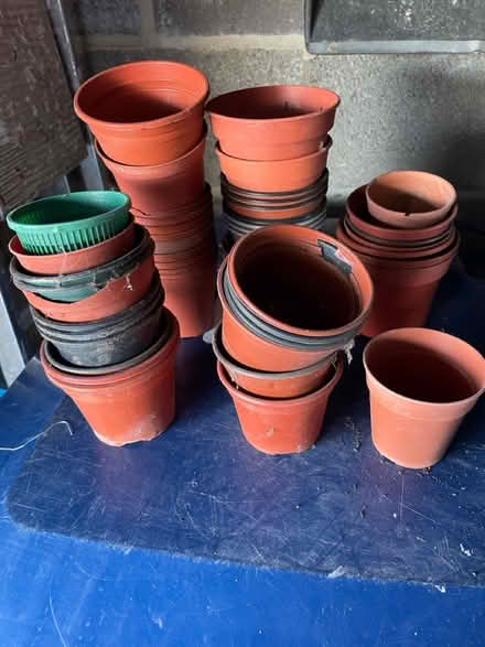 Photo of free Small potting on pots (Fawdon NE3) #1