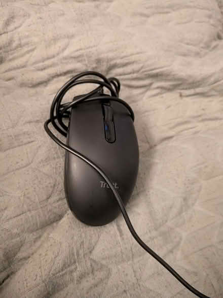 Photo of free Computer mouse (Manchester M19) #1