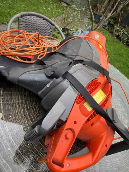 Photo of free Flymo leaf blower (Ducklington OX29) #2