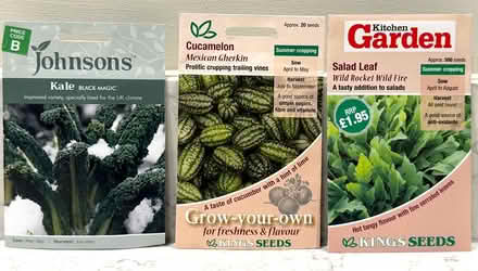 Photo of free Kale, rocket & cucamelon seeds (East Marden) #1