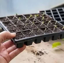 Photo of seed growing trays (Great Moor SK2) #2