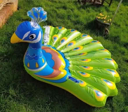 Photo of free Huge Peacock Inflatable. Complete (Sidcup DA14) #1