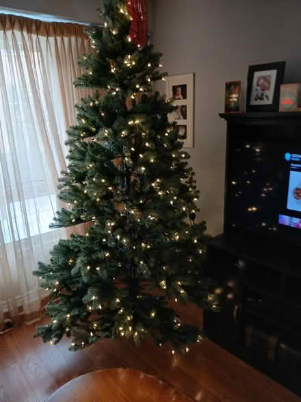 Photo of free Christmas tree (North Park & Dixie) #1