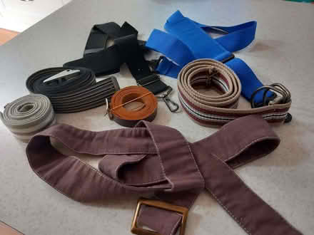 Photo of free Straps and belts (Woodley RG5) #1