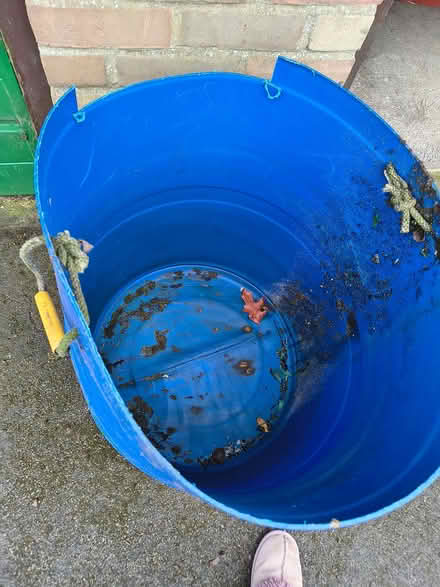 Photo of free Blue Carbouy (New Milton BH25) #1