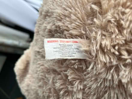 Photo of free Large teddy bear (Hest Bank LA2) #1