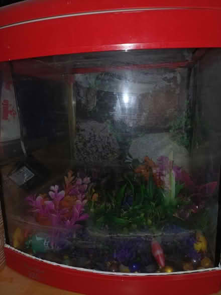 Photo of free Fish tank (BD3 Otley Road Bradford) #1