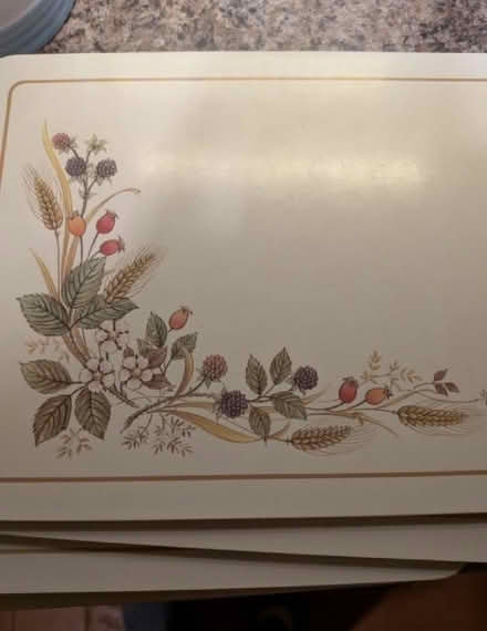Photo of free Placemats (Bromsgrove B47) #1