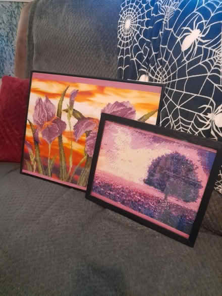 Photo of free 2 diamond art pictures (Loughborough) #1