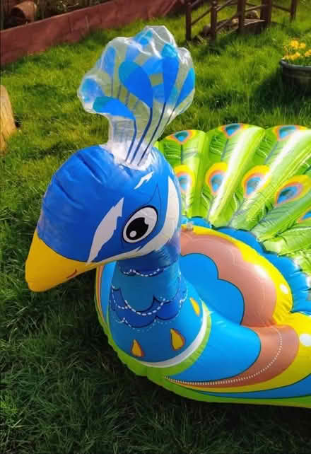 Photo of free Huge Peacock Inflatable. Complete (Sidcup DA14) #2