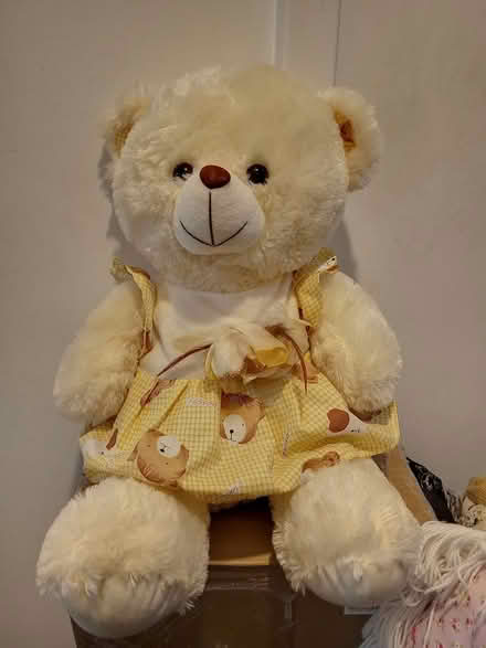 Photo of free soft toys (Dukinfield) #2