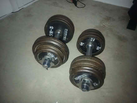 Photo of free Dumbell weights 2x 12 kg (Monks Orchard BR3) #2