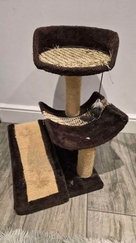 Photo of free Cat Scratching / Climbing Posts (Garston WD25) #2
