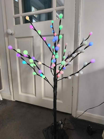 Photo of free Tree (Loughborough LE11) #1