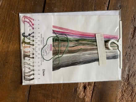 Photo of free Embroidery kit (Canon pyon) #2