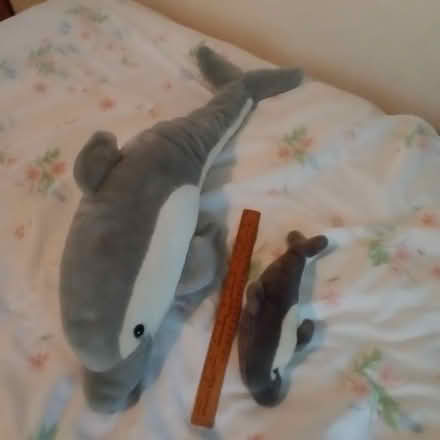 Photo of free Dolphin and baby soft toys (Crawley RH10) #1