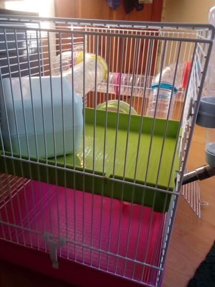 Photo of free Hamster cage 2tier with tubes (RG30) #3