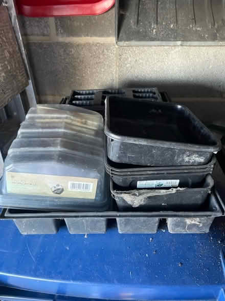 Photo of free Selection of seed trays (Fawdon NE3) #1