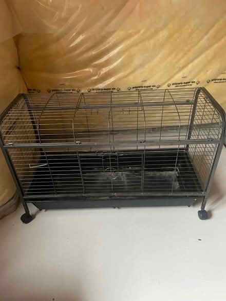 Photo of free Pet home (Kennedy/16th in Markham) #1
