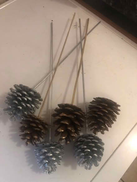 Photo of free Decorative fir cones (Trudoxhill BA11) #1