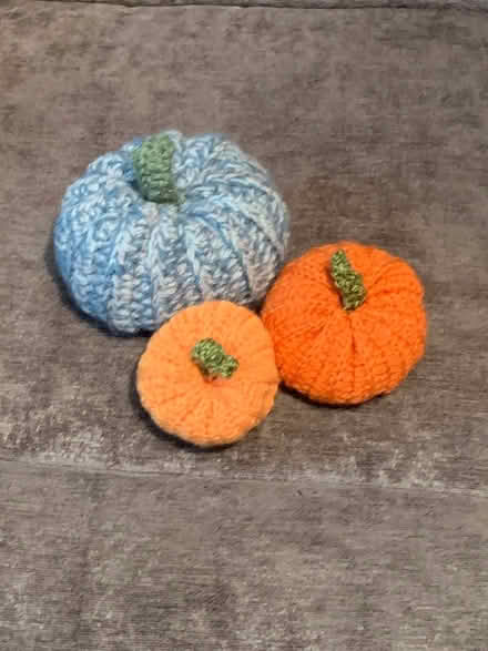 Photo of free Pumpkin decor (Charlton) #1