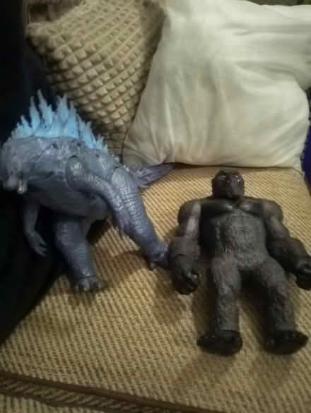 Photo of free Godzilla and king Kong ( Keighley) (Keighley bd20) #1