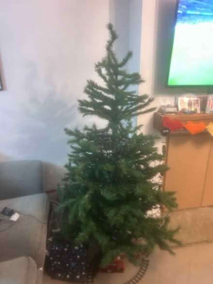 Photo of free 6ft Christmas tree (DE74 2JL) #1