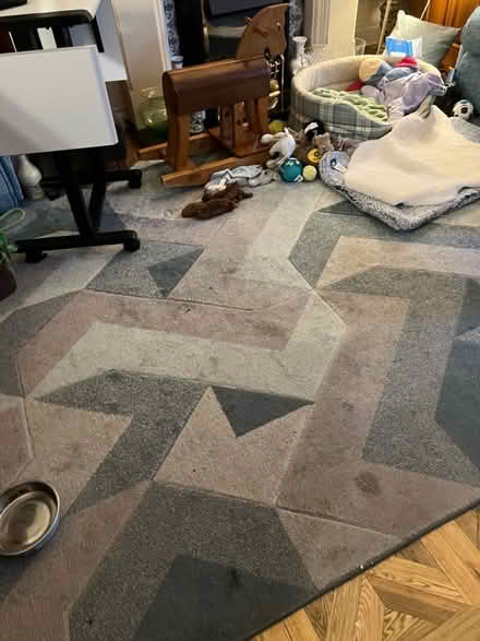 Photo of free Large Rug (Bare LA4) #2