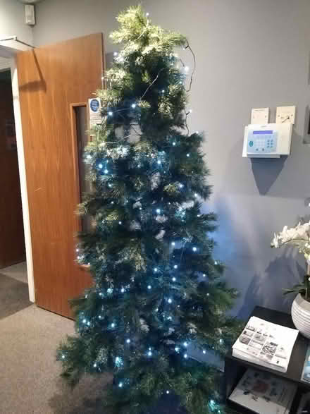 Photo of free Artificial Christmas Tree (Malden Rushett KT9 2QL) #1