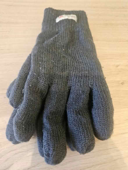 Photo of free Thinsulate gloves (Malvern Link WR14) #2