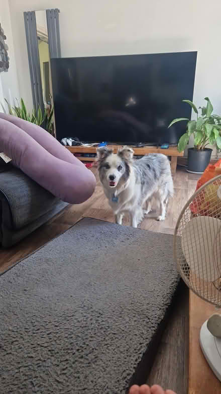 Photo of free SPARES OR REPAIRS - 85" Smart TV (Bampton OX18) #2