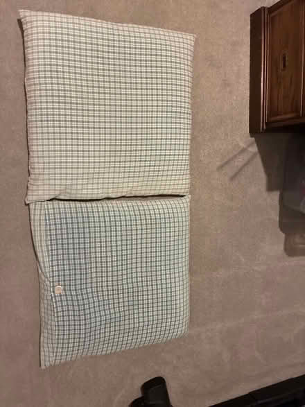 Photo of free 2 big cushions 59x59cm (Lewes Nevill area) #1