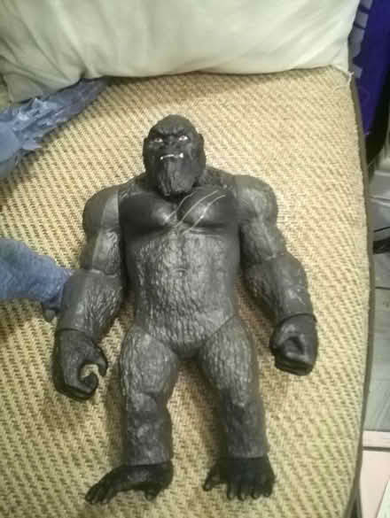 Photo of free Godzilla and king Kong ( Keighley) (Keighley bd20) #2