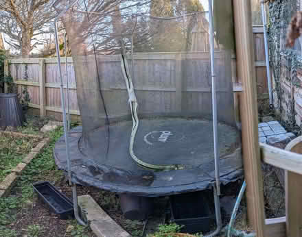 Photo of free Kids trampoline (Winsley BA15) #1