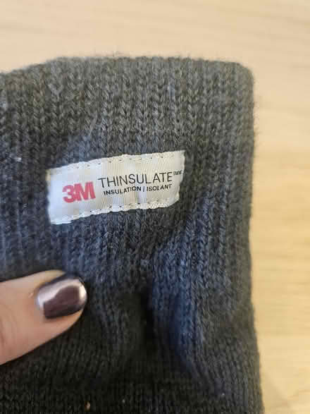 Photo of free Thinsulate gloves (Malvern Link WR14) #1